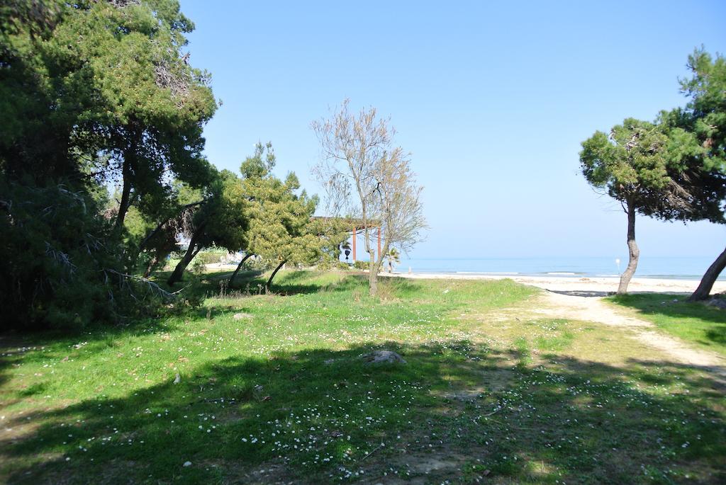Hotel Petit Silvi Marina Esterno foto
