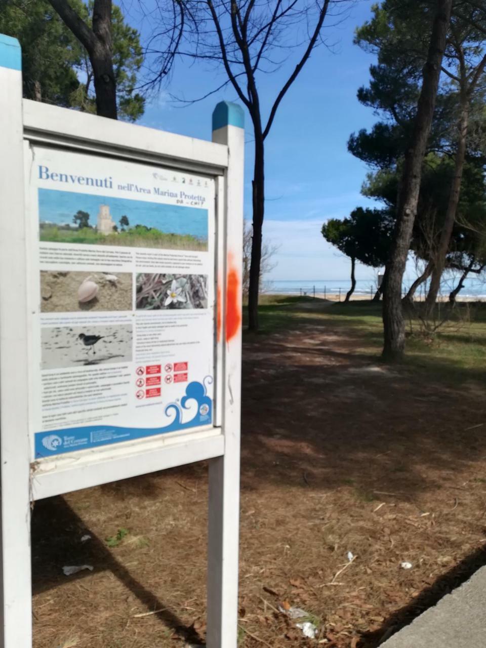 Hotel Petit Silvi Marina Esterno foto